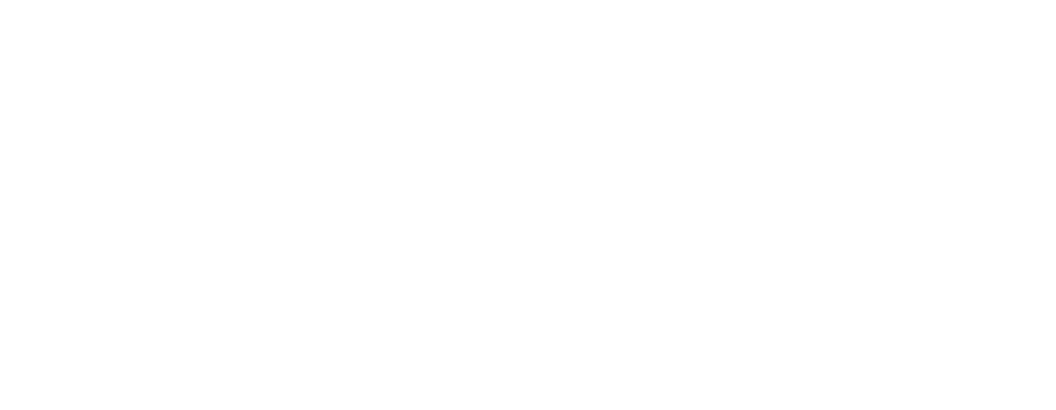 NAKED SKN Logo